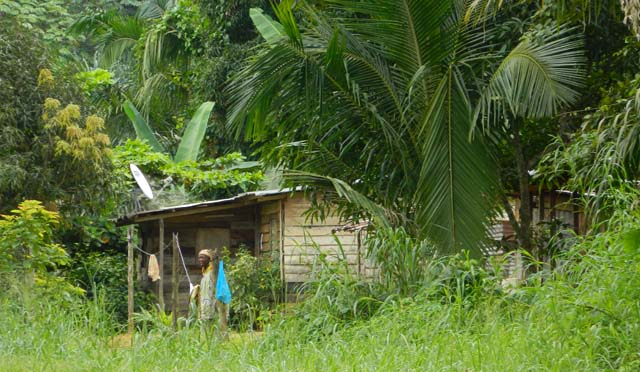 Image de Société. Les ressortissants de cinq villages autour de Mitzic, dans la province du Woleu-Ntem, se rebellent contre un permis forestier accordé à une société chinoise qui englobe l'ensemble de leurs villages. Ils sont frustrés par les restrictions imposées à leurs activités agricoles et autres, nécessitant l'accord de l'opérateur économique. Les habitants s'interrogent sur la légalité de cette situation, suspectant une expropriation déguisée en violation du Code forestier. Les populations se sentent ignorées par le ministère des Eaux et Forêts et craignent de perdre leurs terres. Que pensez-vous de cette situation ?