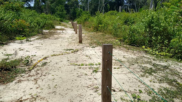 Image de Société. Le Gabon continue de mettre en place des clôtures électriques mobiles pour atténuer le conflit homme-éléphants. Depuis mars 2022, 251 de ces clôtures ont été installées, bénéficiant à plus de 2 388 personnes à ce jour. Cette initiative s'inscrit dans le cadre des recommandations des assises nationales sur la gestion de ce conflit qui affecte plusieurs localités du pays. Les clôtures électriques, adaptées aux activités commerciales et agricoles familiales, permettent de repousser les éléphants grâce à des décharges électriques dissuasives. Quelles sont vos impressions à propos de cette initiative ?