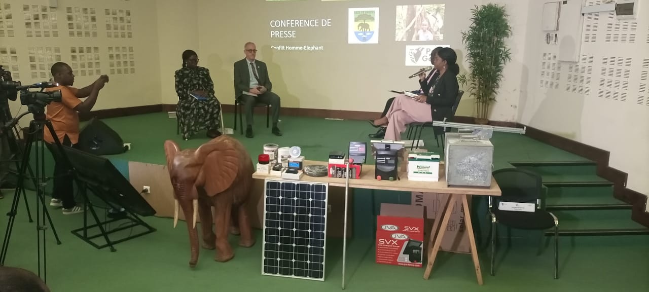 Image de Société. Le gouvernement gabonais s'engage dans la lutte contre le conflit homme-éléphant en mettant en place des clôtures électriques à haute spécification. Ces barrières, financées par l'État, visent à protéger les cultures des populations rurales tout en préservant la coexistence avec les éléphants. Alimentées par des panneaux solaires, ces clôtures émettent une décharge électrique inoffensive mais dissuasive pour les éléphants, permettant ainsi de réduire les dégâts causés aux cultures. L'efficacité de cette solution est soulignée par l'installation de plus de 280 clôtures électriques mobiles cette année, avec un objectif de 1000 clôtures d'ici 2024. Cependant, pour que cette approche soit pérenne, des accompagnements sont nécessaires, notamment pour aider les agriculteurs à commercialiser leurs produits et compenser le coût des clôtures. Comment concilier la protection des cultures et la préservation de la faune sauvage ? Quels autres moyens peut-on envisager pour résoudre le conflit homme-éléphant de manière durable et équilibrée ?